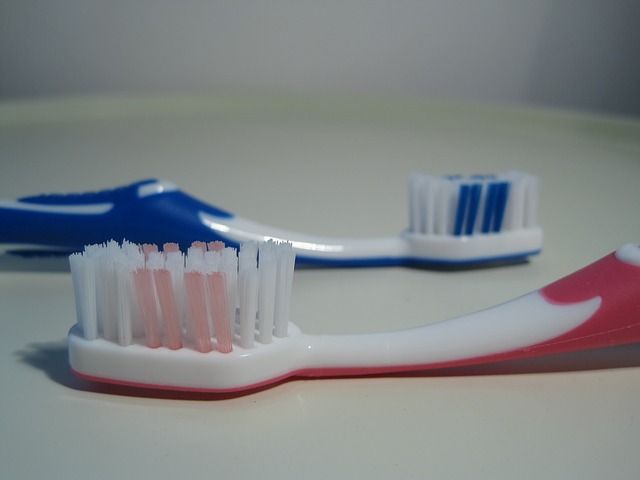 toothbrush-284110_640