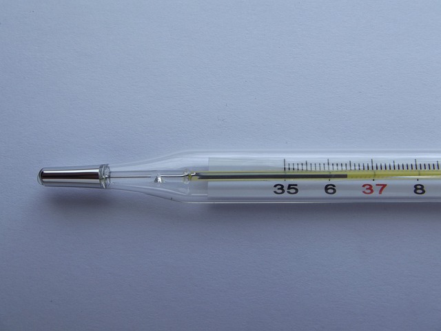 thermometer